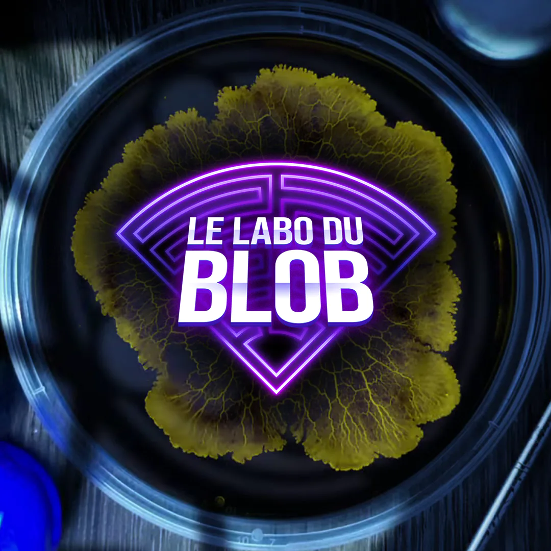 Le Labo Du Blob